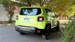 جيب رينيجيد